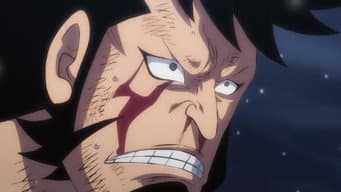I Won’t Forgive Him! Chopper’s Determination!