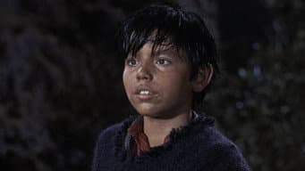 El Toro Grande