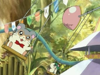 Panda's Ham-Ham Fun Park!