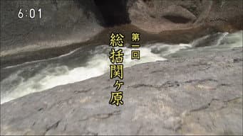The Battle of Sekigahara