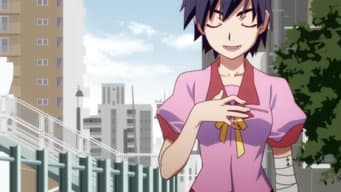 Suruga Monkey (1)