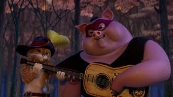 Pigs